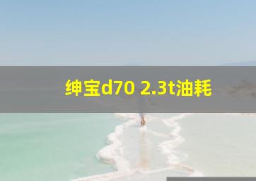 绅宝d70 2.3t油耗